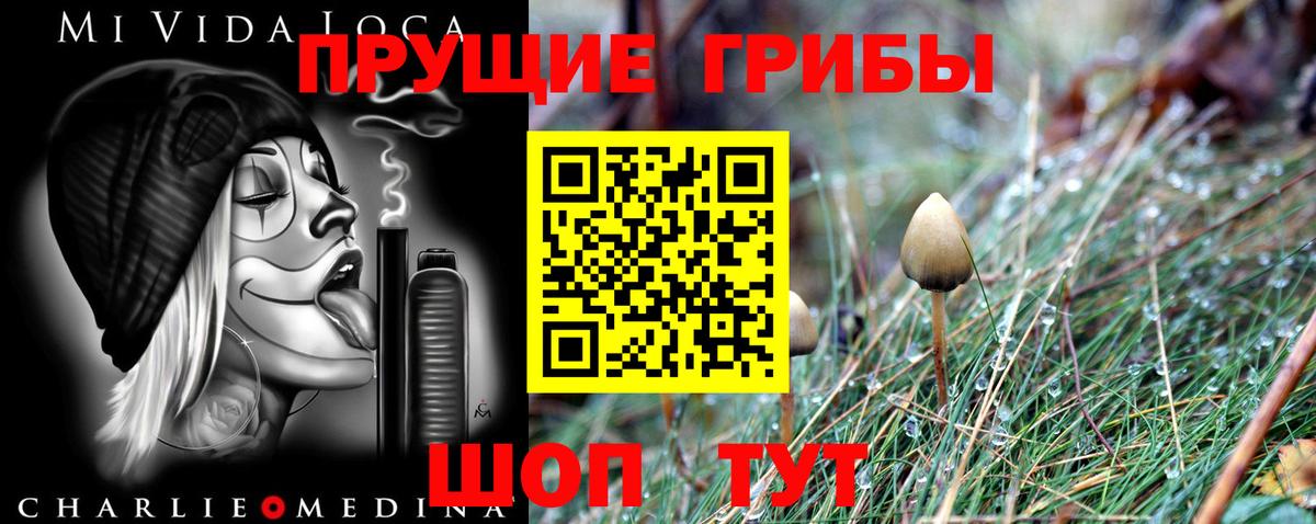 купить   Псилоцибиновые грибы MAGIC MUSHROOMS  Каменск-Уральский  Вход с VPN  Псилоцибиновые грибы мицелий 